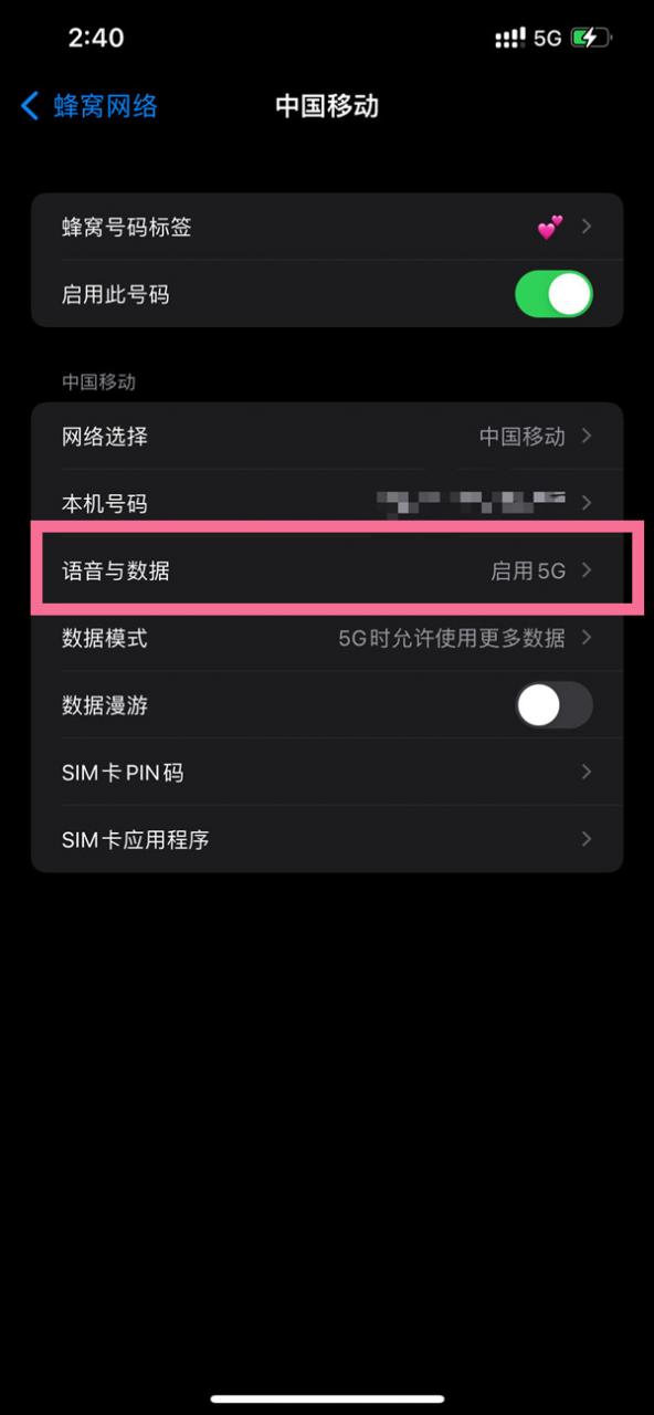 iPhone改5g信号图标图片